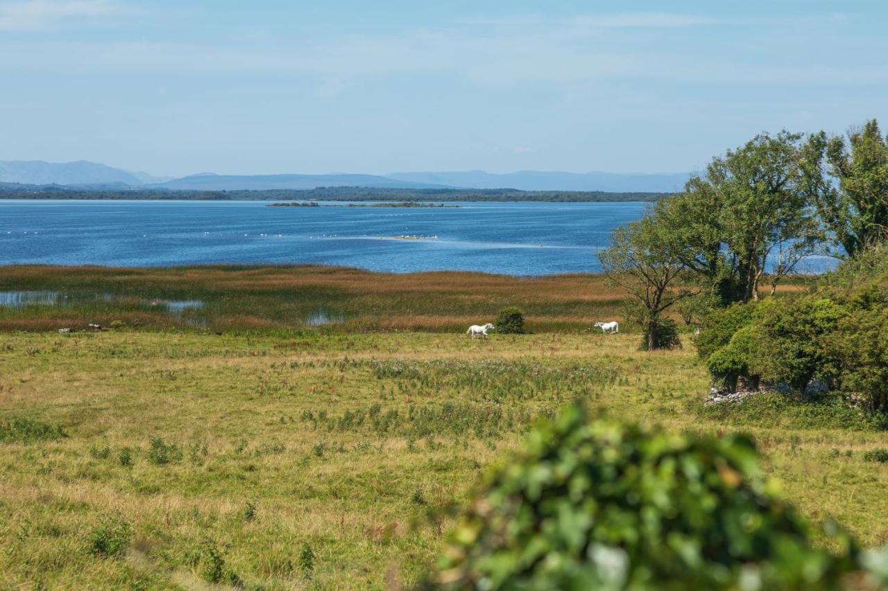 Coach House Cottage On The Shores Of Lough Corrib Galway Exterior foto